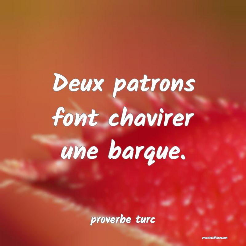  Deux patrons font chavirer une barque.