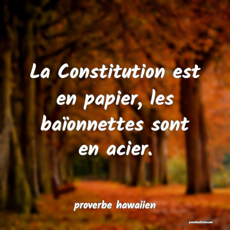  La Constitution est en papier, les baïonnettes sont en acier.