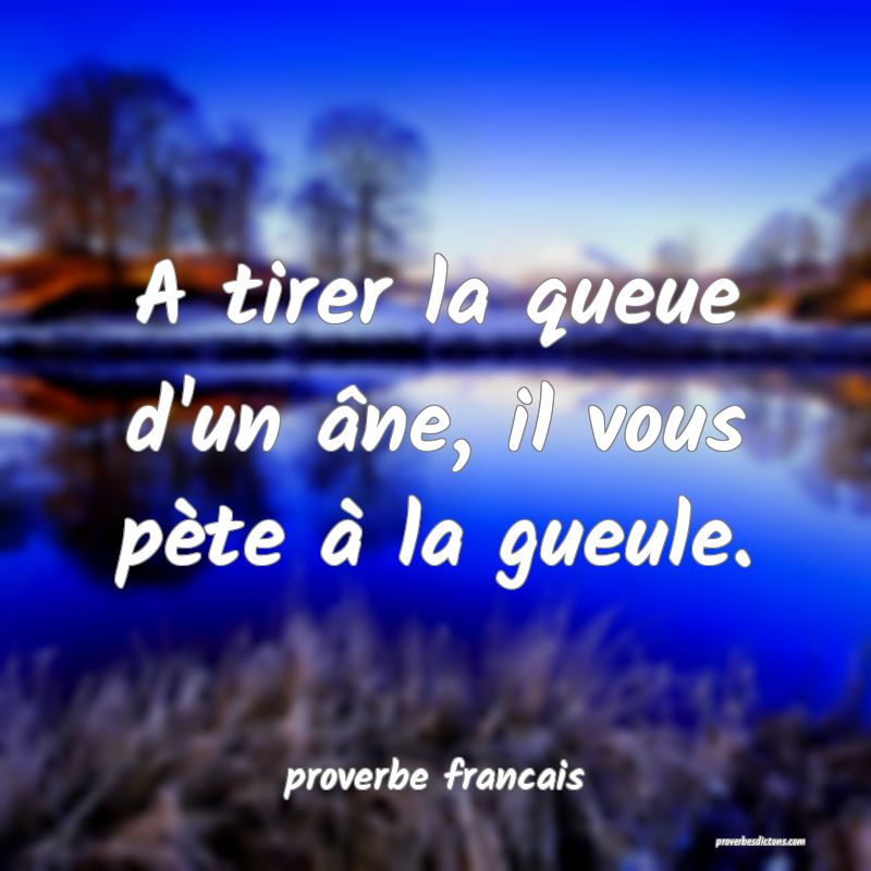  A tirer la queue d'un âne, il vous pète à la gueule.