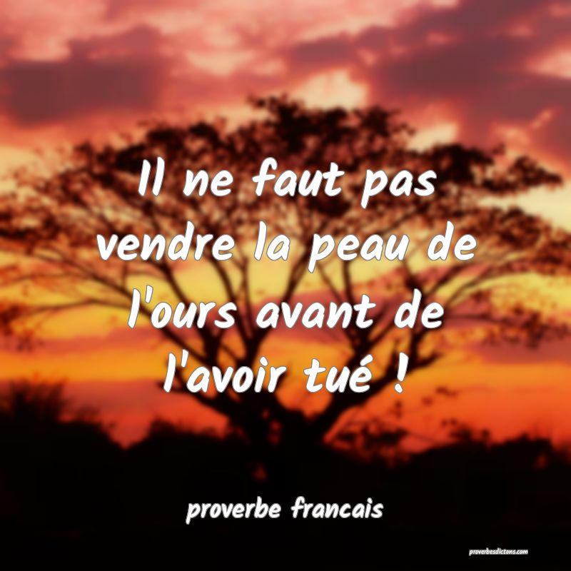  Il ne faut pas vendre la peau de l'ours avant de l'avoir tué !