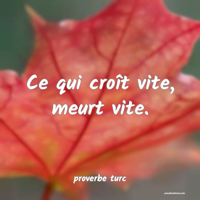  Ce qui croît vite, meurt vite.