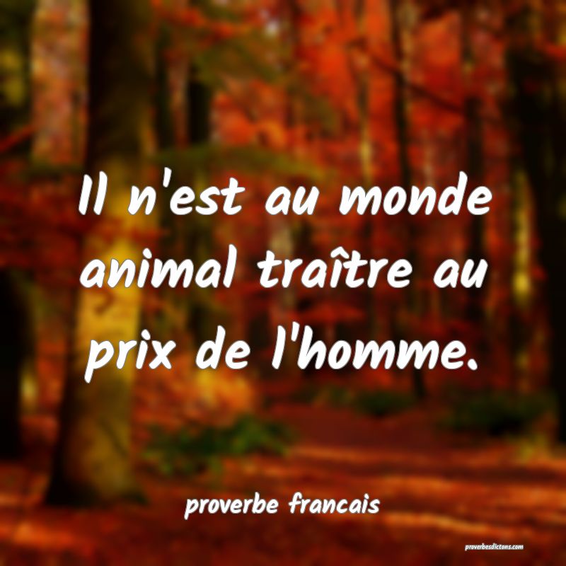 Il n'est au monde animal traître au prix de l'homme.