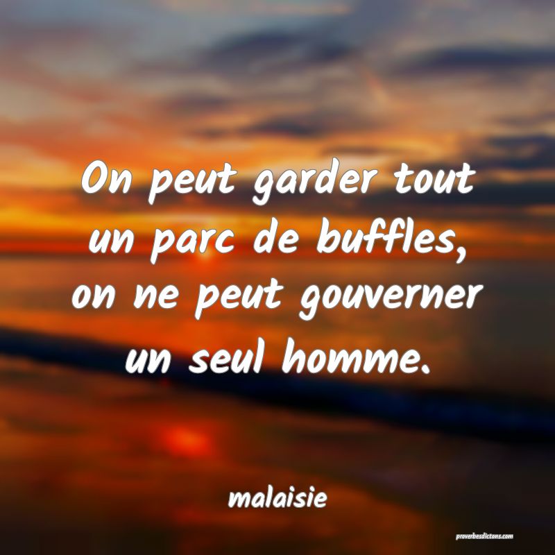  On peut garder tout un parc de buffles, on ne peut gouverner un seul homme.