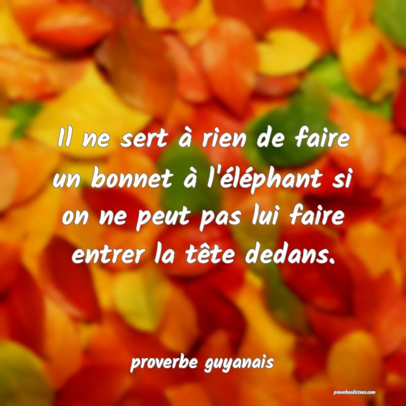  Il ne sert à rien de faire un bonnet à l'éléphant si on ne peut pas lui faire entrer la tête dedans.