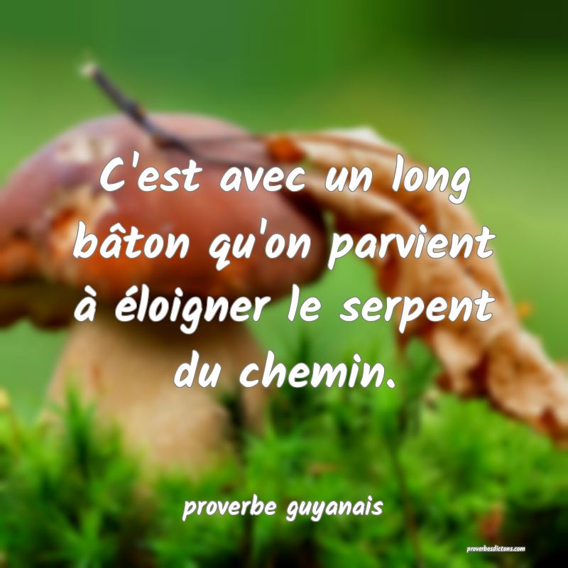  C'est avec un long bâton qu'on parvient à éloigner le serpent du chemin.