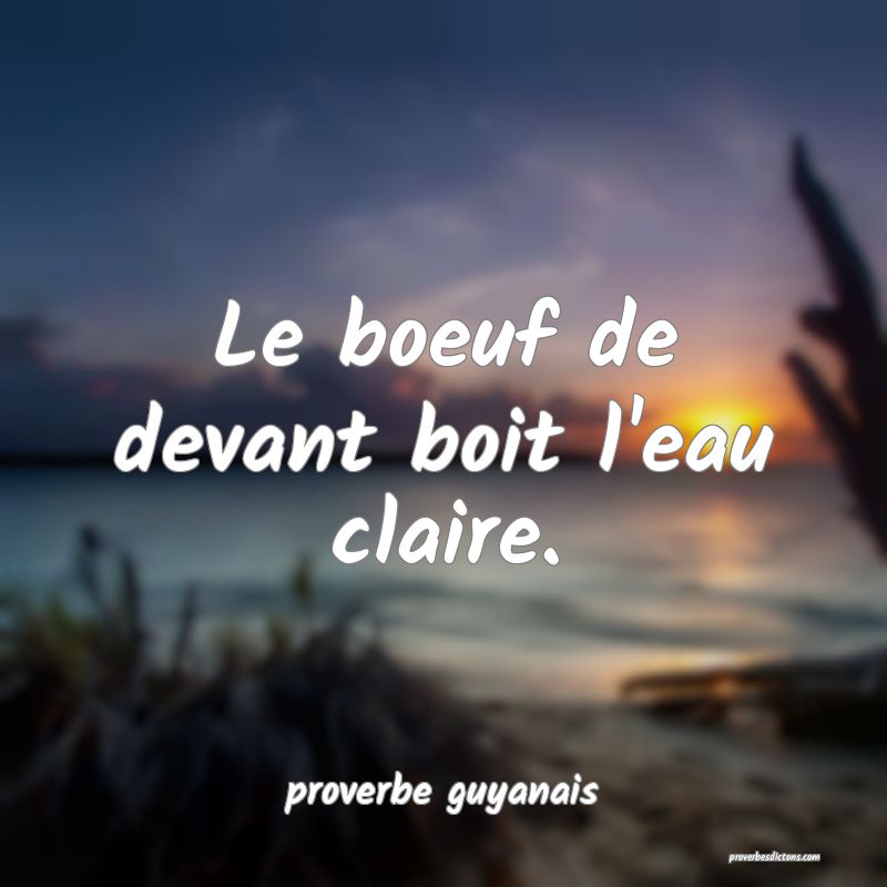  Le boeuf de devant boit l'eau claire.