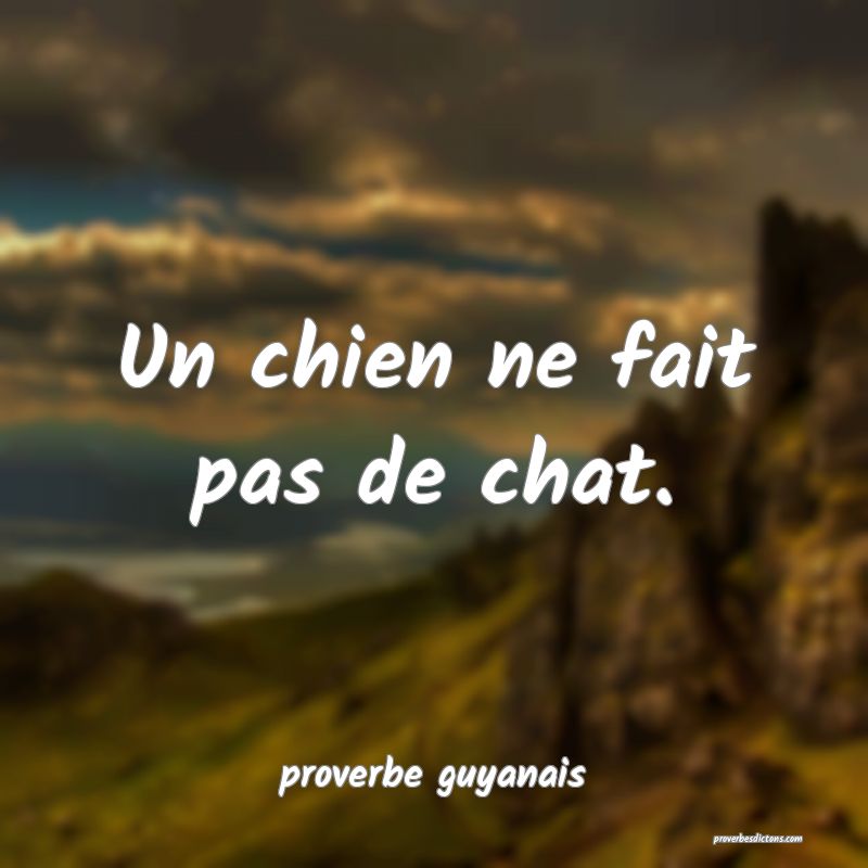  Un chien ne fait pas de chat.