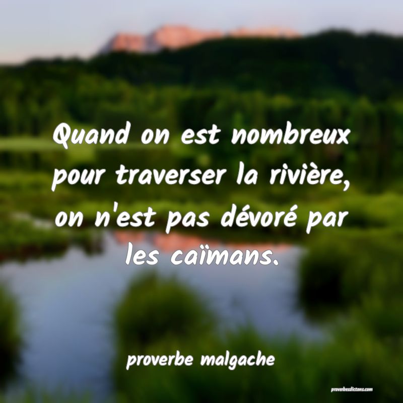  Quand on est nombreux pour traverser la rivière, on n'est pas dévoré par les caïmans.