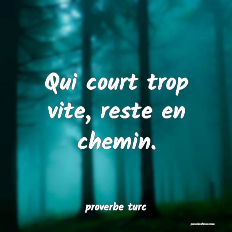  Qui court trop vite, reste en chemin.