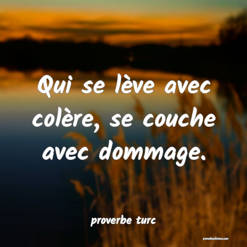  Qui se lève avec colère, se couche avec dommage.