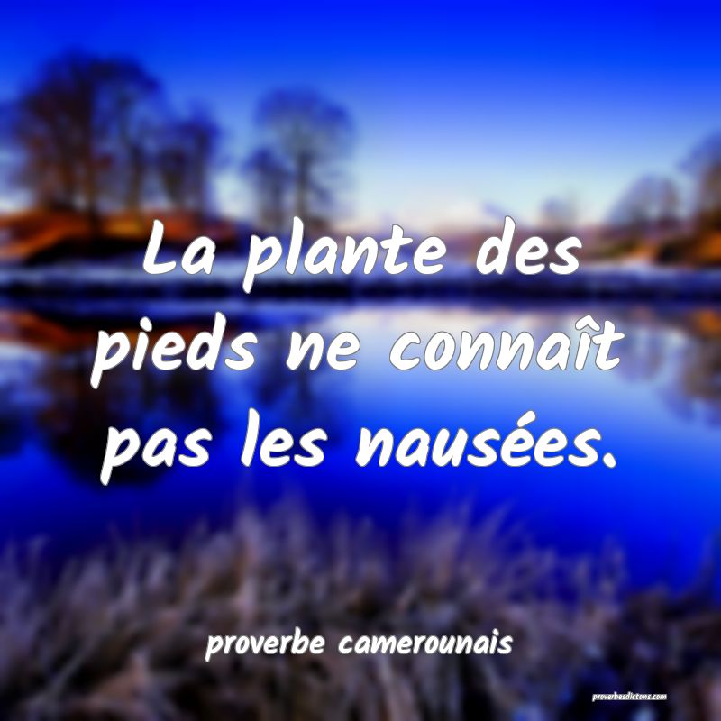  La plante des pieds ne connaît pas les nausées.