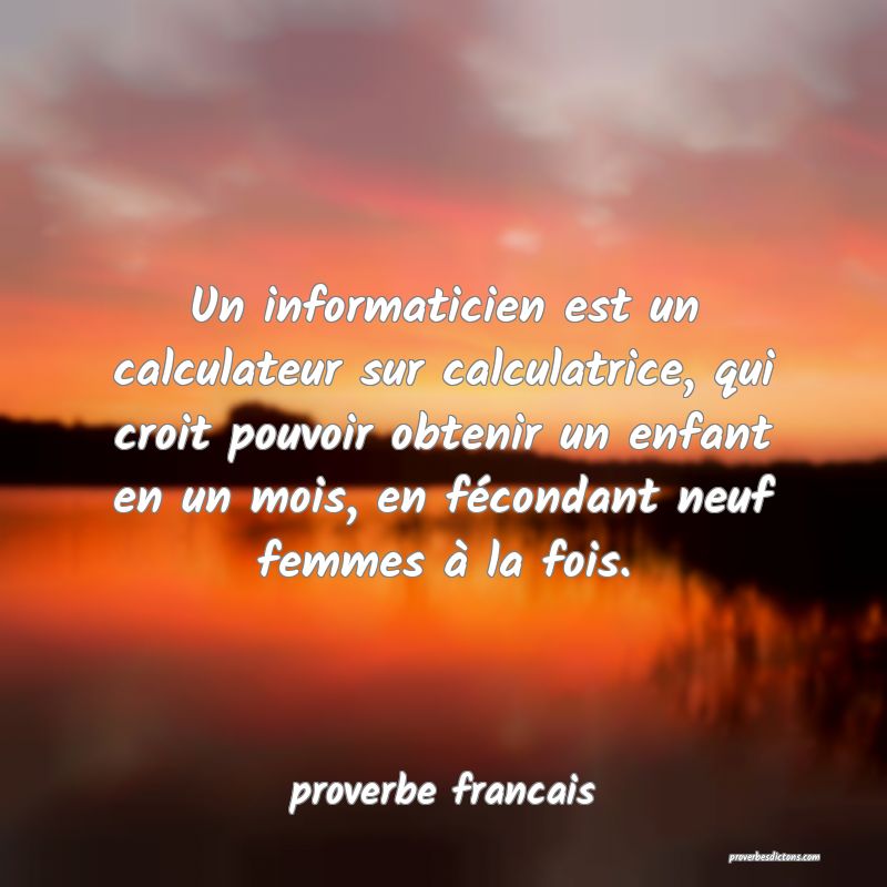  Un informaticien est un calculateur sur calculatrice, qui croit pouvoir obtenir un enfant en un mois, en fécondant neuf femmes à la fois.