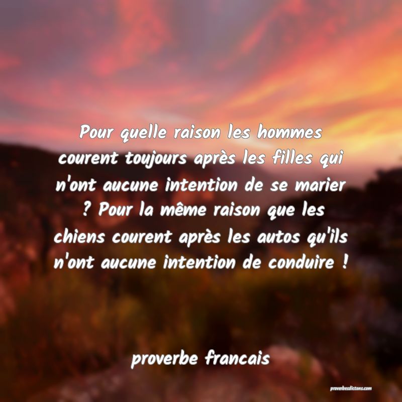  Pour quelle raison les hommes courent toujours après les filles qui n'ont aucune intention de se marier ? Pour la même raison que les chiens courent après les autos qu'ils n'ont aucune intention de conduire ! 