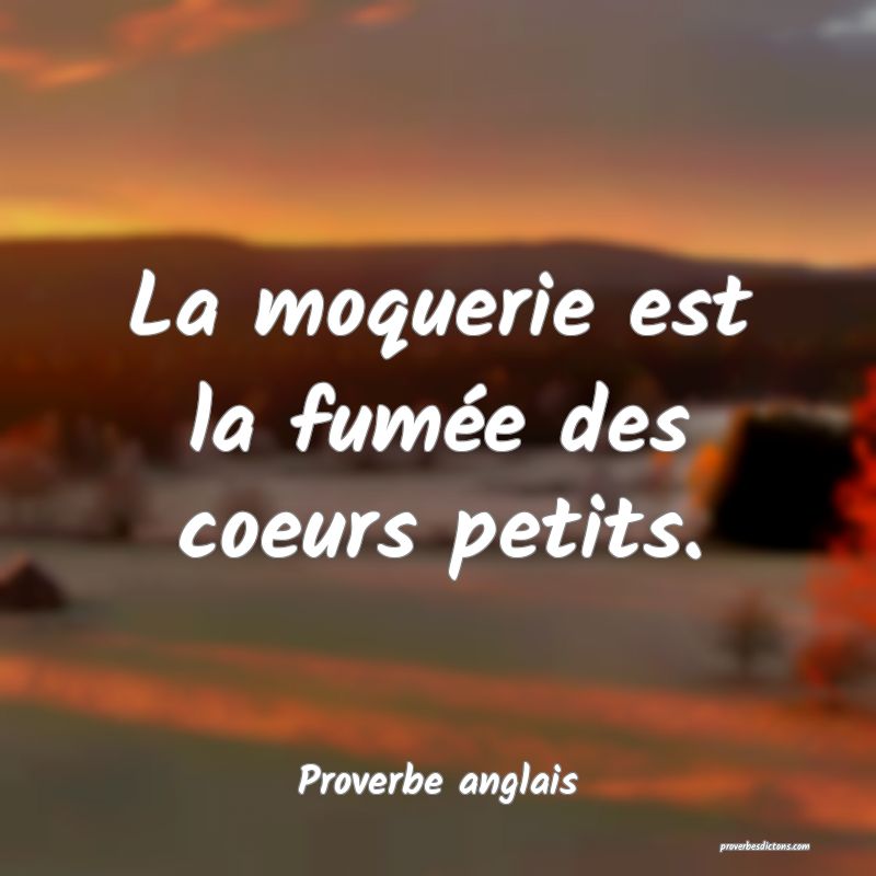  La moquerie est la fumée des coeurs petits.