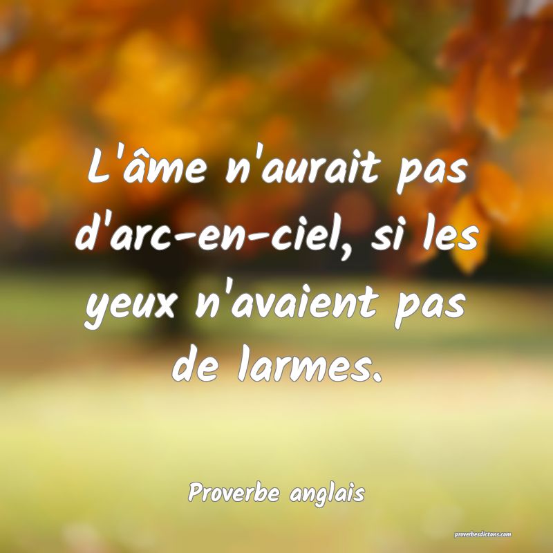  L'âme n'aurait pas d'arc-en-ciel, si les yeux n'avaient pas de larmes.