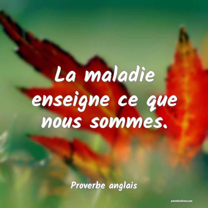  La maladie enseigne ce que nous sommes.