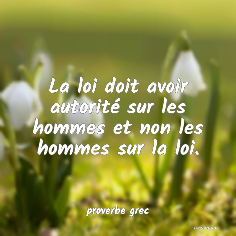 La loi doit avoir autorité sur les hommes et non les hommes sur la loi.