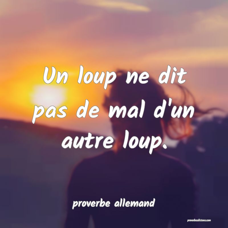  Un loup ne dit pas de mal d'un autre loup.