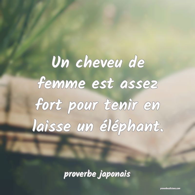  Un cheveu de femme est assez fort pour tenir en laisse un éléphant.