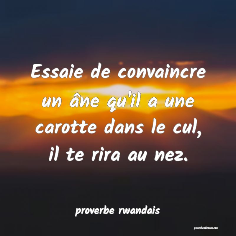  Essaie de convaincre un âne qu'il a une carotte dans le cul, il te rira au nez.