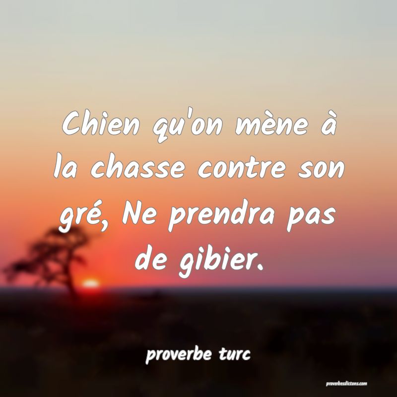  Chien qu'on mène à la chasse contre son gré, Ne prendra pas de gibier.