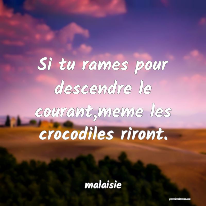  Si tu rames pour descendre le courant,meme les crocodiles riront.