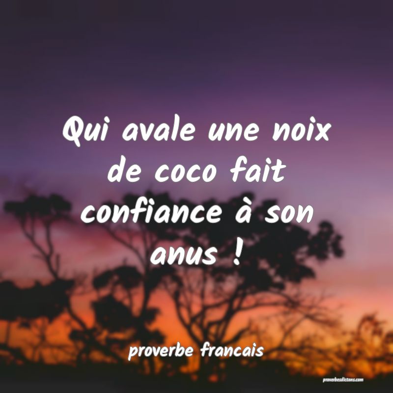  Qui avale une noix de coco fait confiance à son anus !