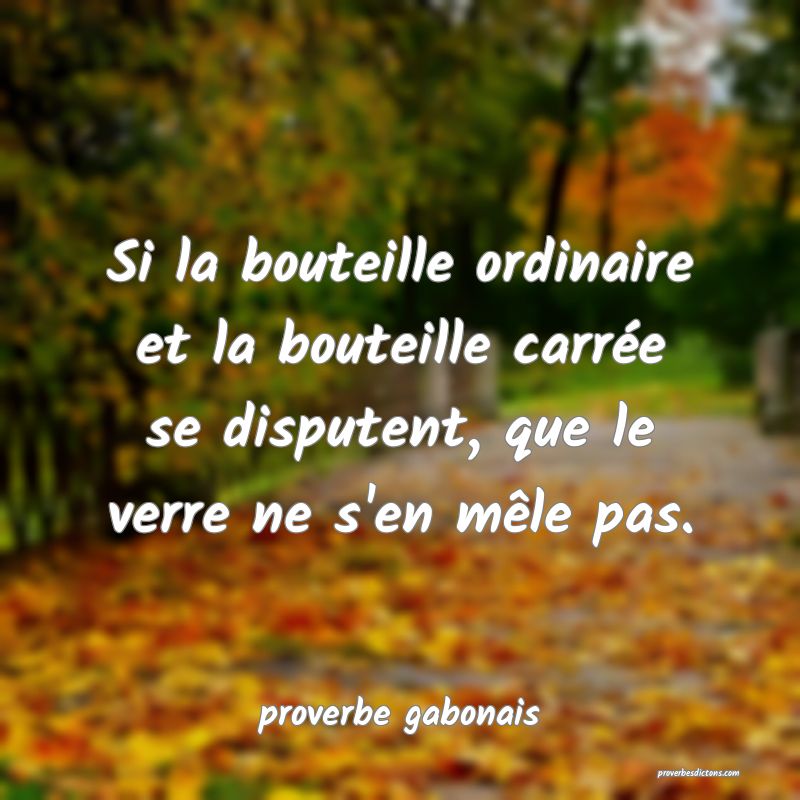  Si la bouteille ordinaire et la bouteille carrée se disputent, que le verre ne s'en mêle pas.