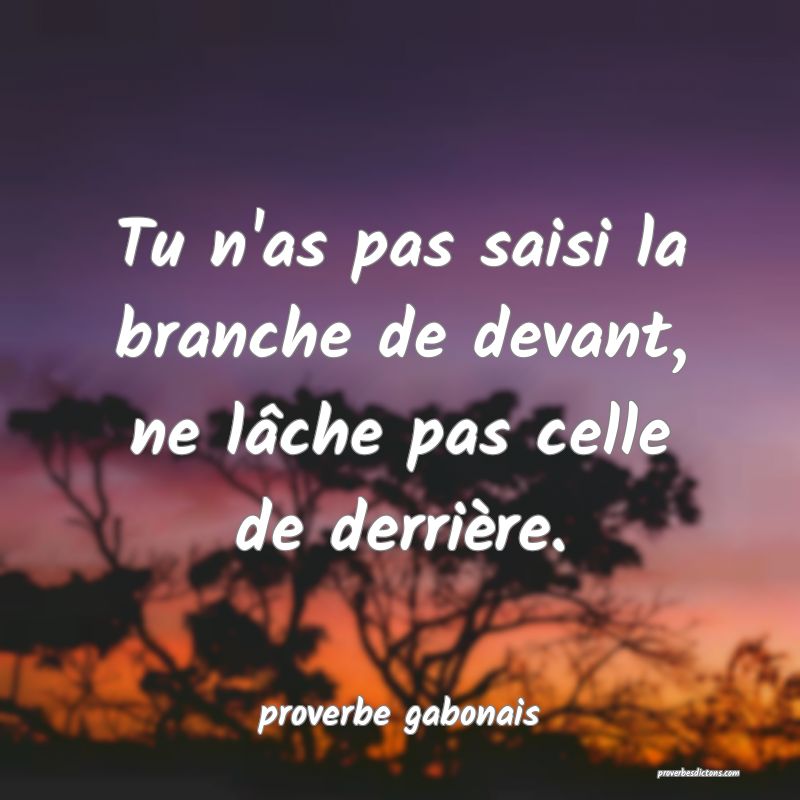  Tu n'as pas saisi la branche de devant, ne lâche pas celle de derrière.