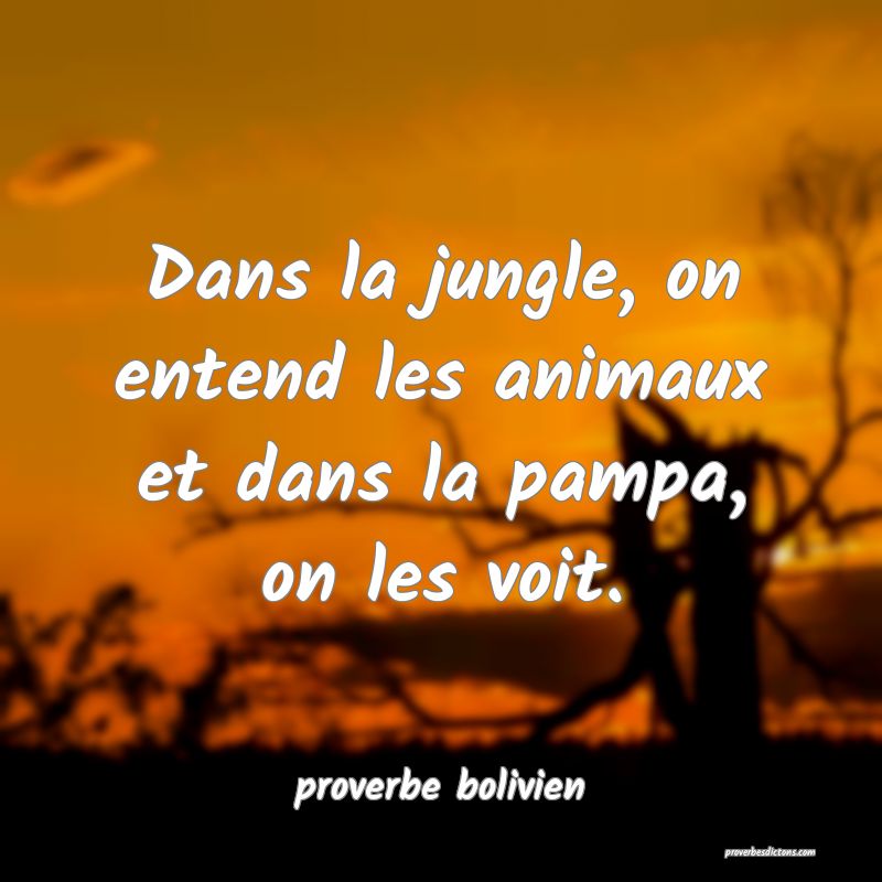  Dans la jungle, on entend les animaux et dans la pampa, on les voit.