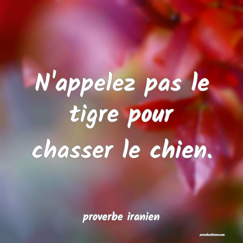  N'appelez pas le tigre pour chasser le chien.