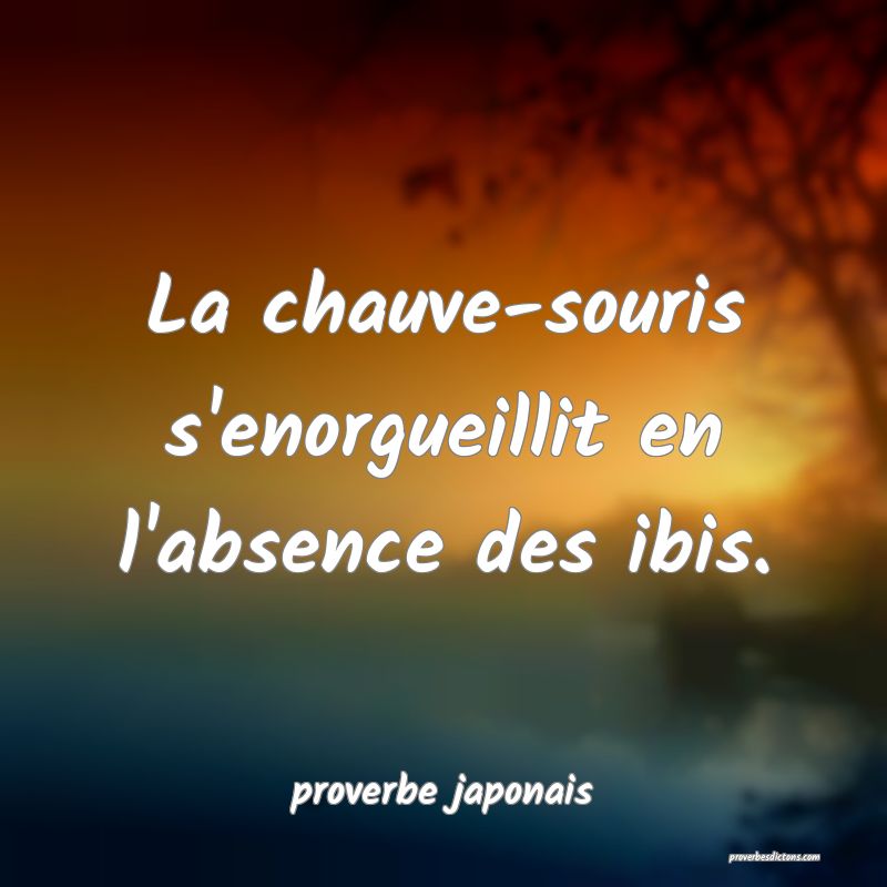  La chauve-souris s'enorgueillit en l'absence des ibis.