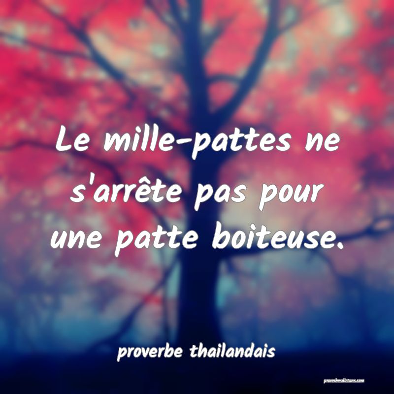  Le mille-pattes ne s'arrête pas pour une patte boiteuse.