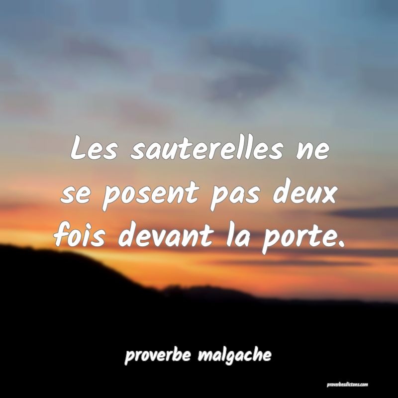  Les sauterelles ne se posent pas deux fois devant la porte.