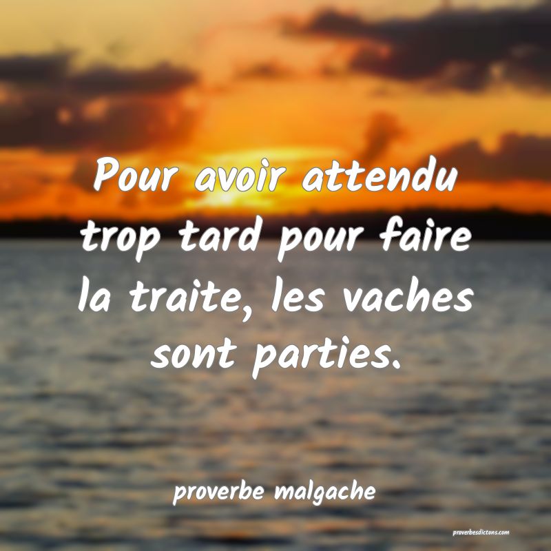  Pour avoir attendu trop tard pour faire la traite, les vaches sont parties.