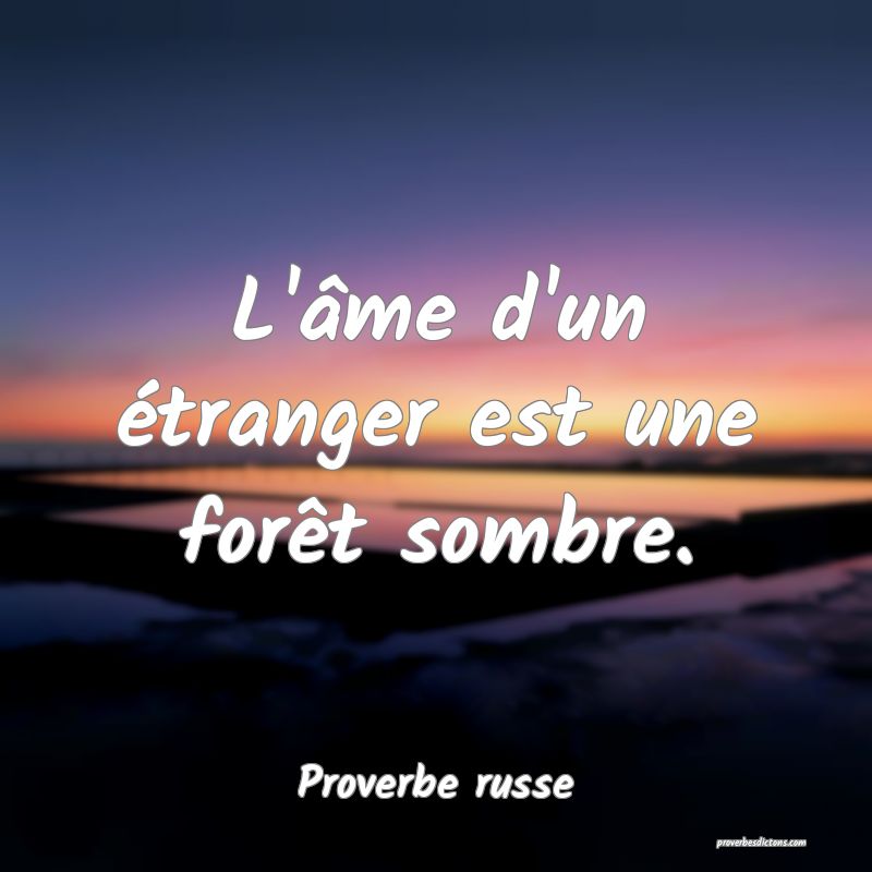  L'âme d'un étranger est une forêt sombre.