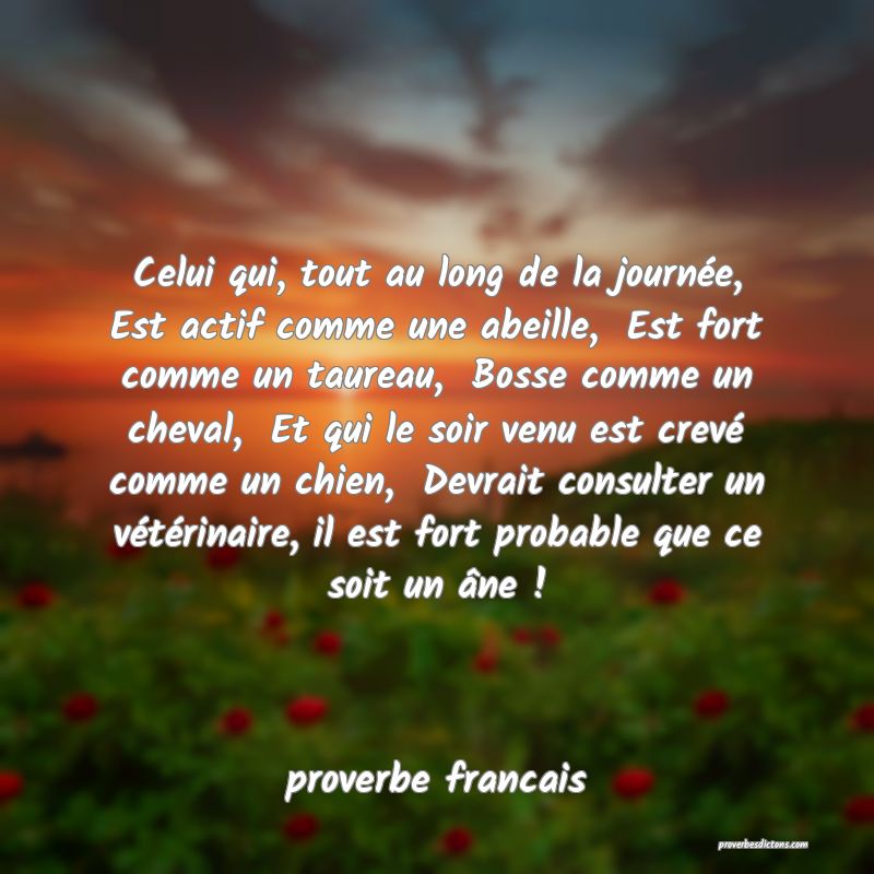  Celui qui, tout au long de la journée, Est actif comme une abeille,  Est fort comme un taureau,  Bosse comme un cheval,  Et qui le soir venu est crevé comme un chien,  Devrait consulter un vétérinaire, il est fort probable que ce soit un âne ! 