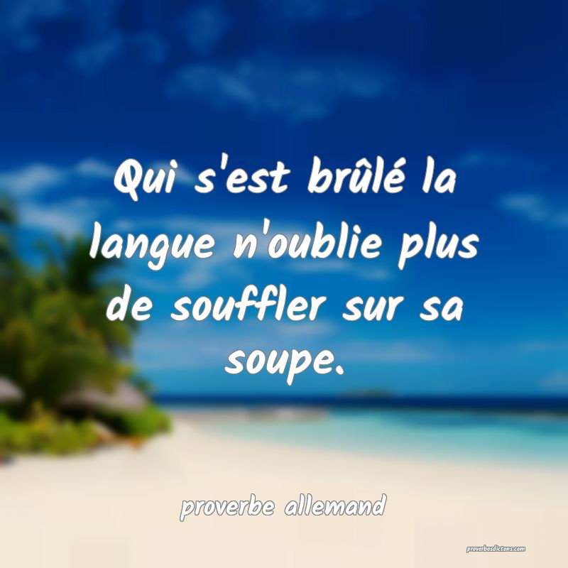  Qui s'est brûlé la langue n'oublie plus de souffler sur sa soupe.