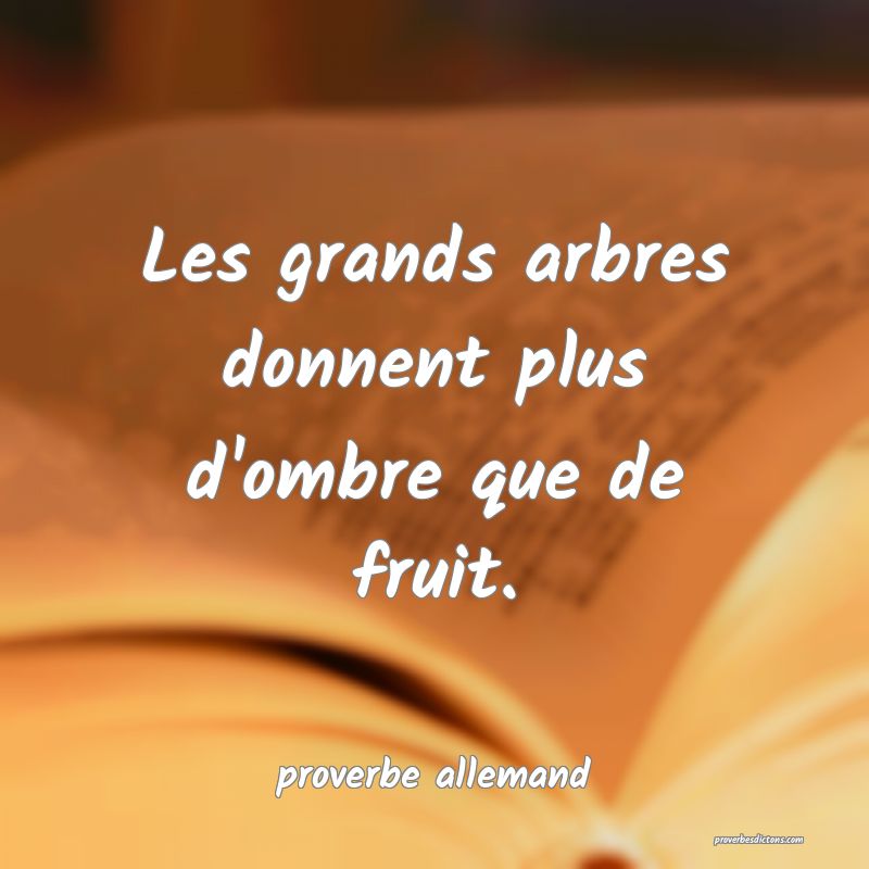  Les grands arbres donnent plus d'ombre que de fruit.
