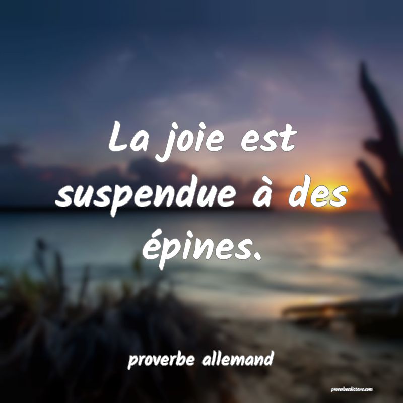  La joie est suspendue à des épines.