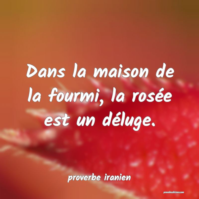  Dans la maison de la fourmi, la rosée est un déluge.