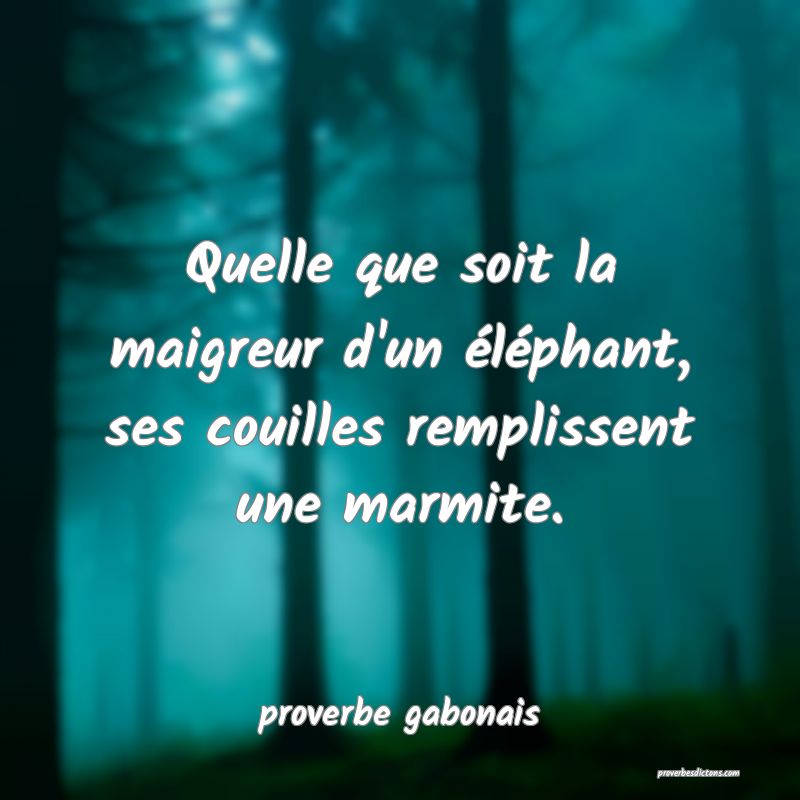  Quelle que soit la maigreur d'un éléphant, ses couilles remplissent une marmite.
