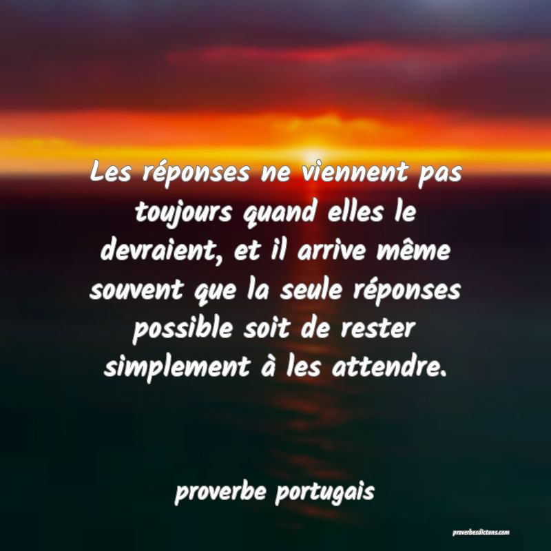  Les réponses ne viennent pas toujours quand elles le devraient, et il arrive même souvent que la seule réponses possible soit de rester simplement à les attendre.