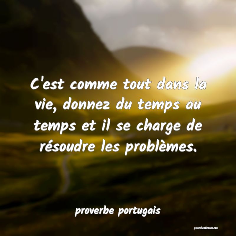  C'est comme tout dans la vie, donnez du temps au temps et il se charge de résoudre les problèmes.