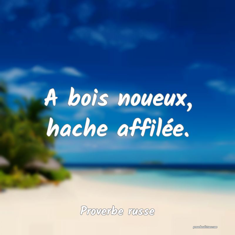  A bois noueux, hache affilée.