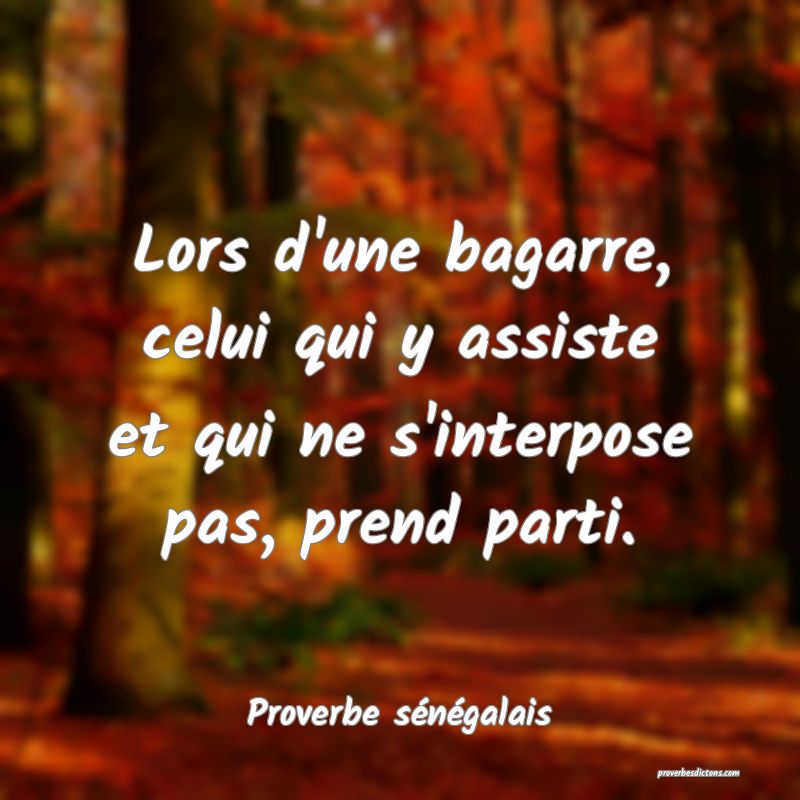  Lors d'une bagarre, celui qui y assiste et qui ne s'interpose pas, prend parti.
