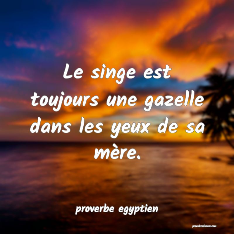  Le singe est toujours une gazelle dans les yeux de sa mère.