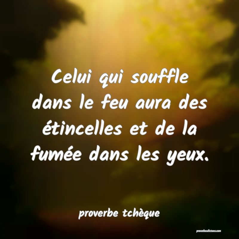  Celui qui souffle dans le feu aura des étincelles et de la fumée dans les yeux.