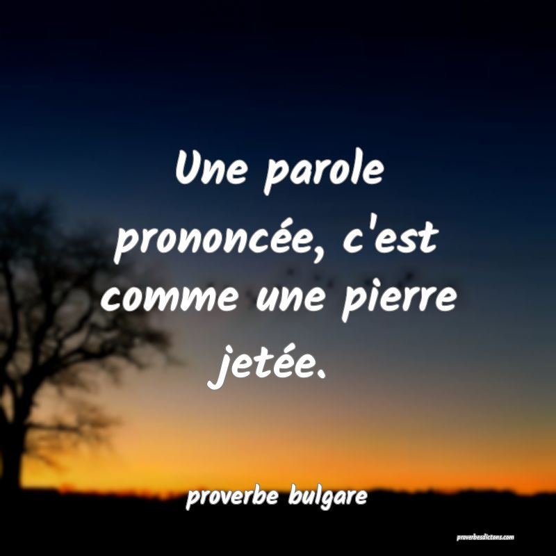  Une parole prononcée, c'est comme une pierre jetée.