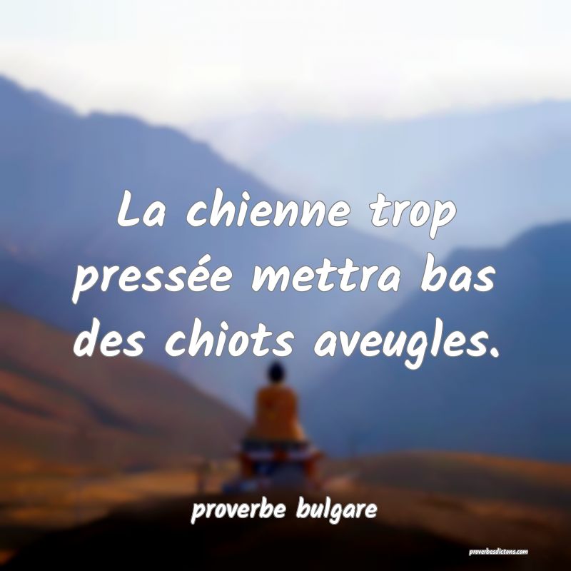  La chienne trop pressée mettra bas des chiots aveugles.